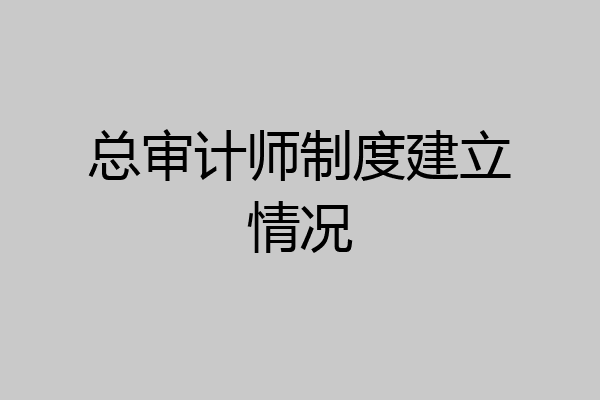 总审计师制度建立情况