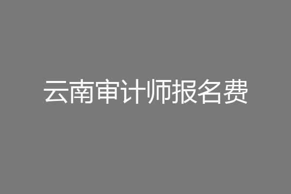 云南审计师报名费