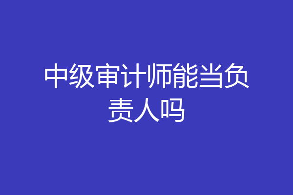 中级审计师能当负责人吗