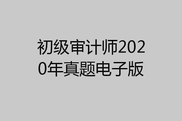 初级审计师2020年真题电子版
