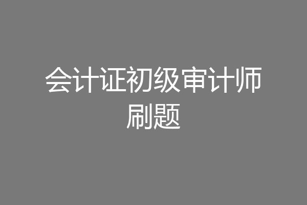 会计证初级审计师刷题