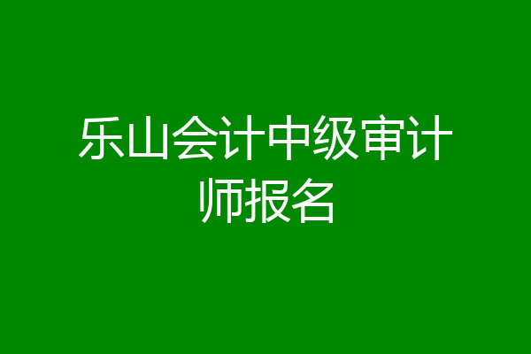 乐山会计中级审计师报名