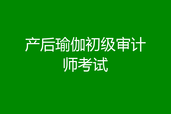 产后瑜伽初级审计师考试