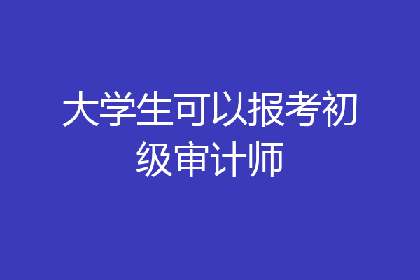 大学生可以报考初级审计师