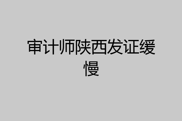 审计师陕西发证缓慢