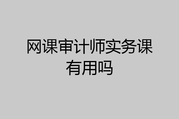 网课审计师实务课有用吗