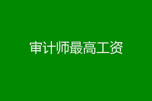 审计师最高工资
