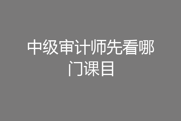 中级审计师先看哪门课目