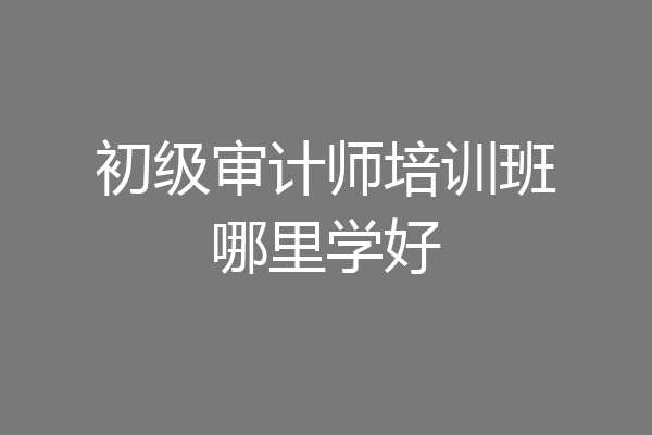 初级审计师培训班哪里学好