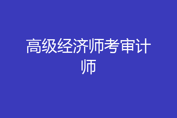 高级经济师考审计师