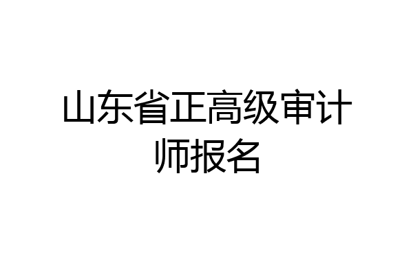 山东省正高级审计师报名
