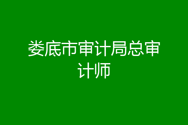 娄底市审计局总审计师
