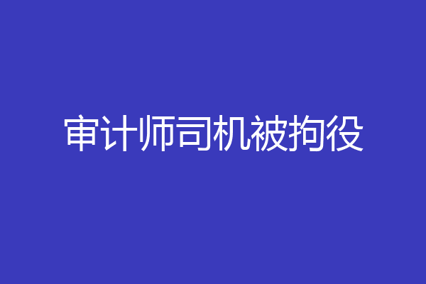 审计师司机被拘役