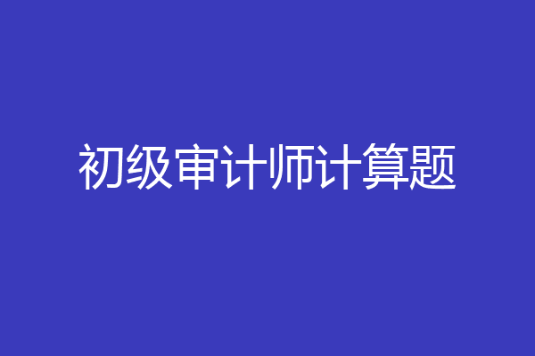 初级审计师计算题