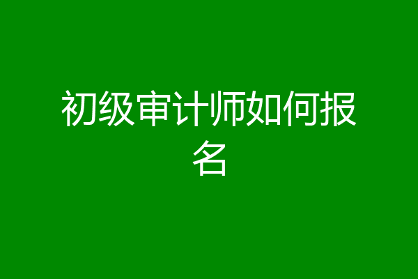 初级审计师如何报名