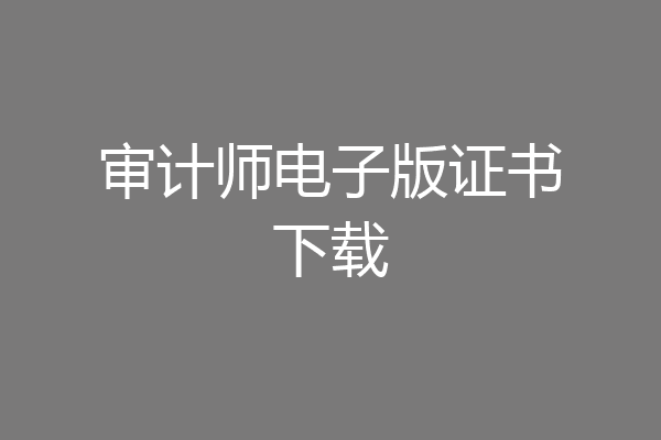 审计师电子版证书下载