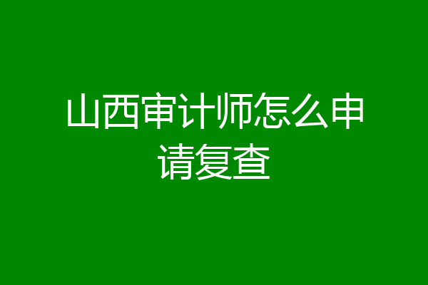 山西审计师怎么申请复查