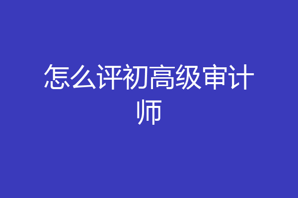 怎么评初高级审计师
