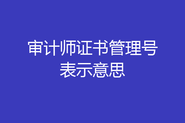 审计师证书管理号表示意思