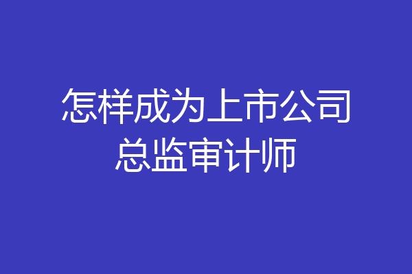 怎样成为上市公司总监审计师