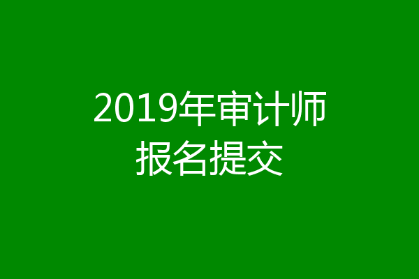 2019年审计师报名提交
