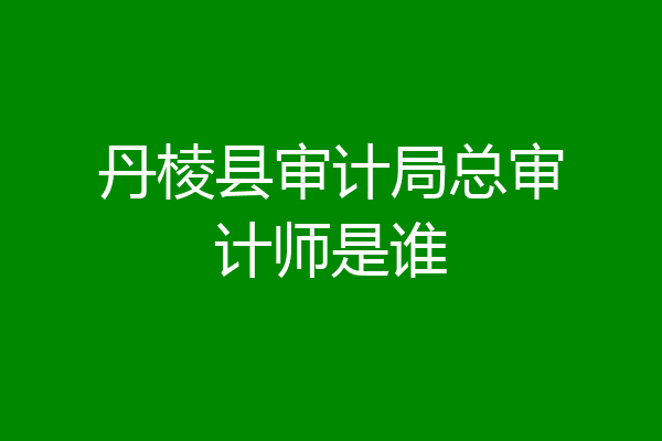 丹棱县审计局总审计师是谁