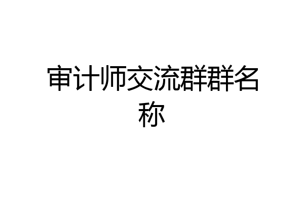 审计师交流群群名称