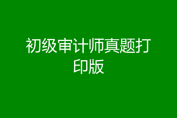 初级审计师真题打印版