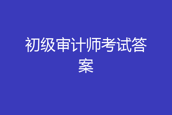 初级审计师考试答案