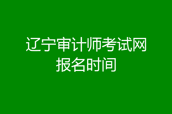 辽宁审计师考试网报名时间
