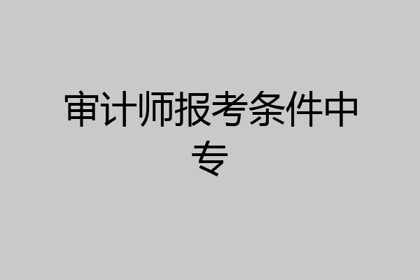 审计师报考条件中专