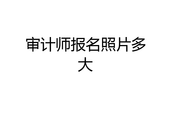审计师报名照片多大