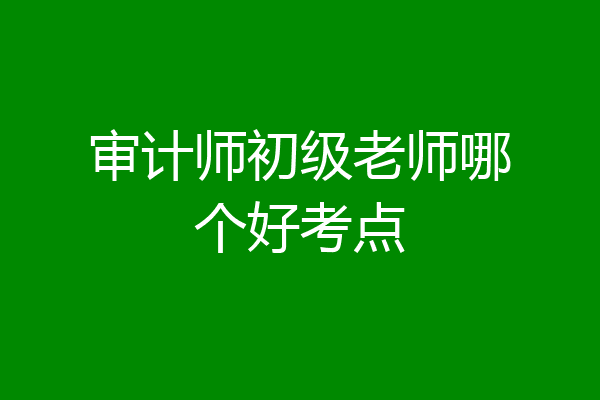 审计师初级老师哪个好考点