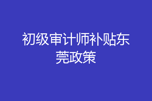 初级审计师补贴东莞政策