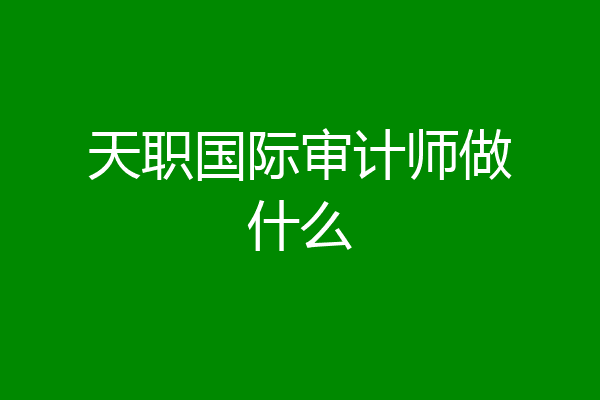 天职国际审计师做什么