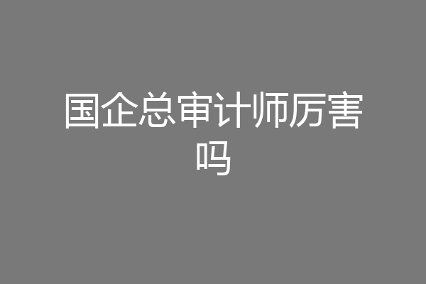 国企总审计师厉害吗