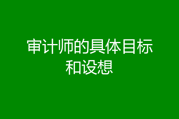审计师的具体目标和设想