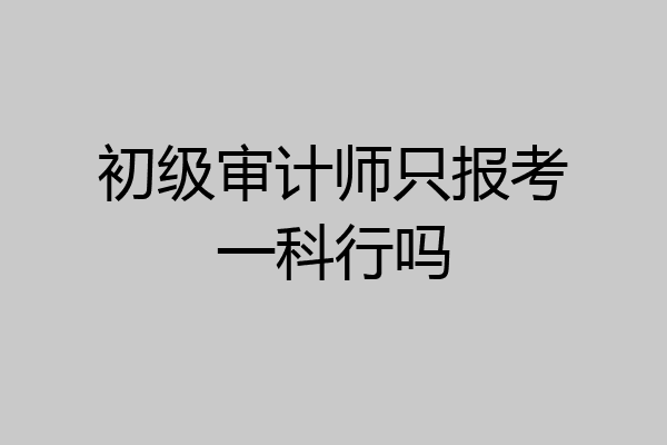 初级审计师只报考一科行吗