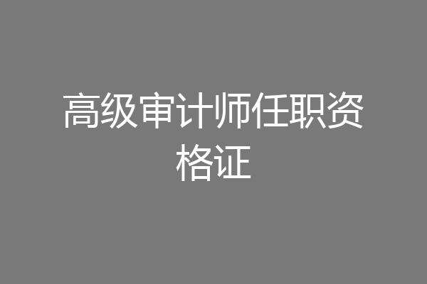 高级审计师任职资格证