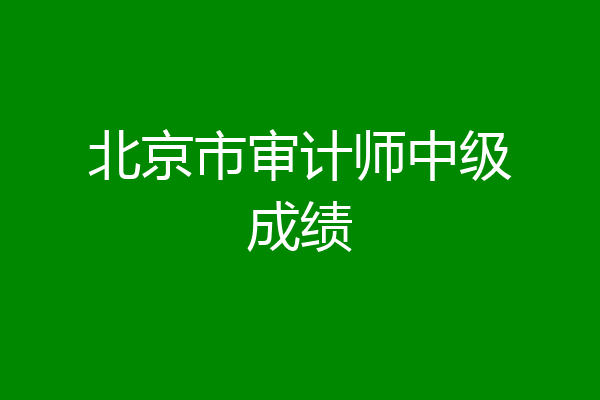 北京市审计师中级成绩