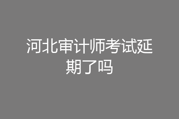河北审计师考试延期了吗