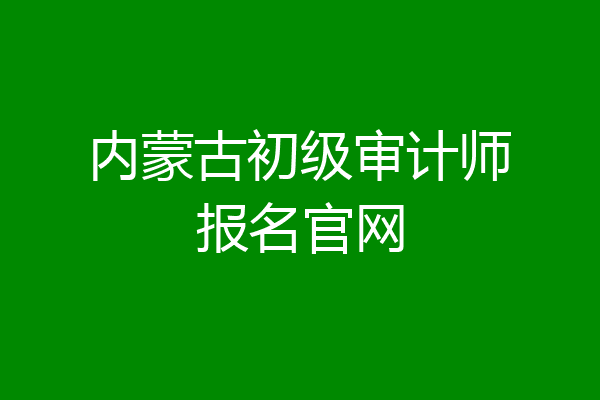 内蒙古初级审计师报名官网