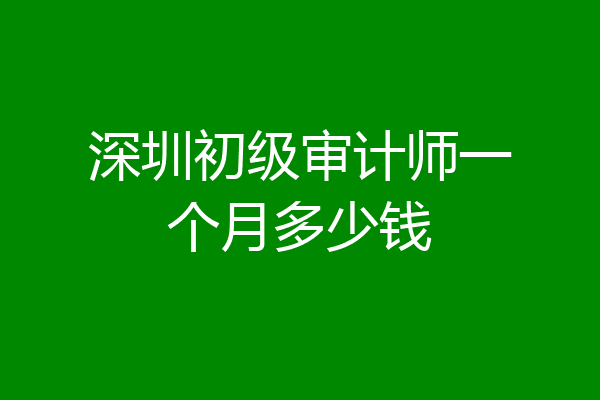 深圳初级审计师一个月多少钱