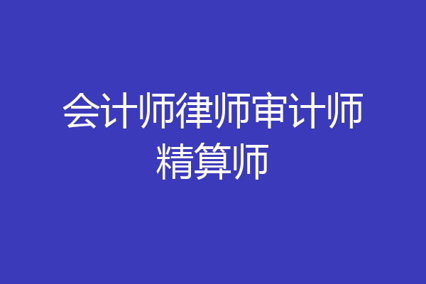会计师律师审计师精算师