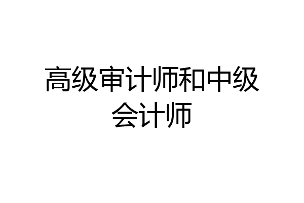 高级审计师和中级会计师