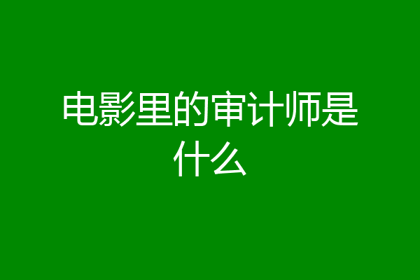 电影里的审计师是什么