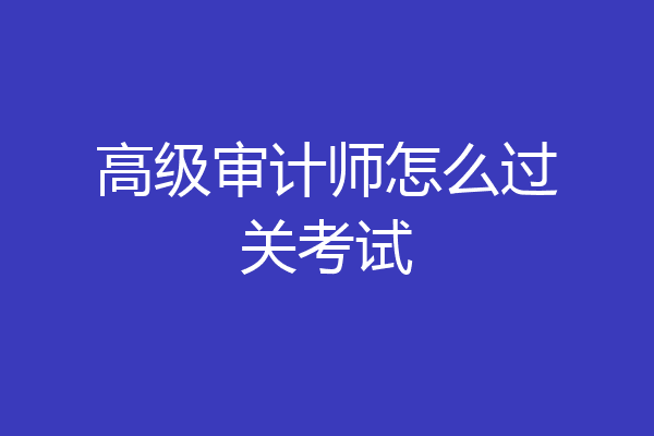 高级审计师怎么过关考试