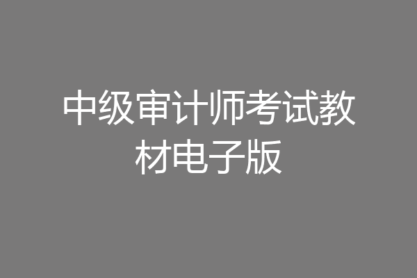 中级审计师考试教材电子版
