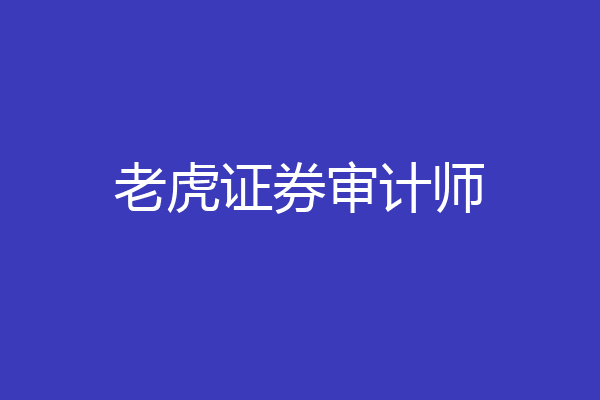 老虎证券审计师