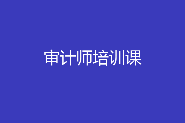 审计师培训课